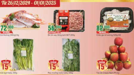 Tìm Hiểu Quy Định Về Hiển Thị Giá Trên Tờ Rơi: Bảo Vệ Quyền Lợi Người Tiêu Dùng